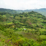 Grüne Hügel in Ähiopien