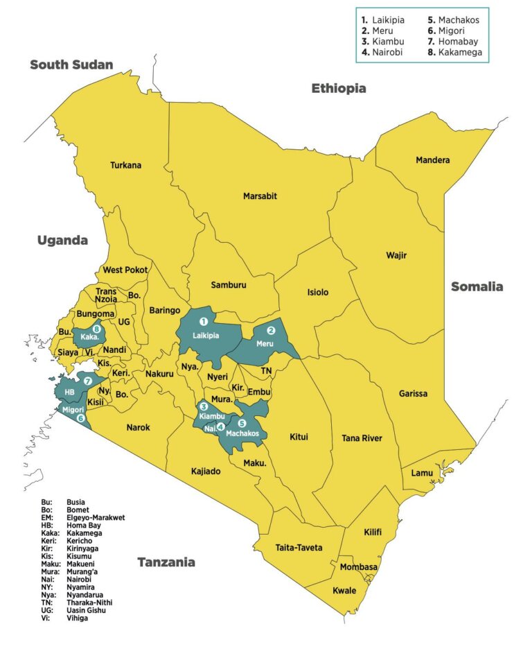 2022 Programmatic Map Kenya E1666173181788 768x949 