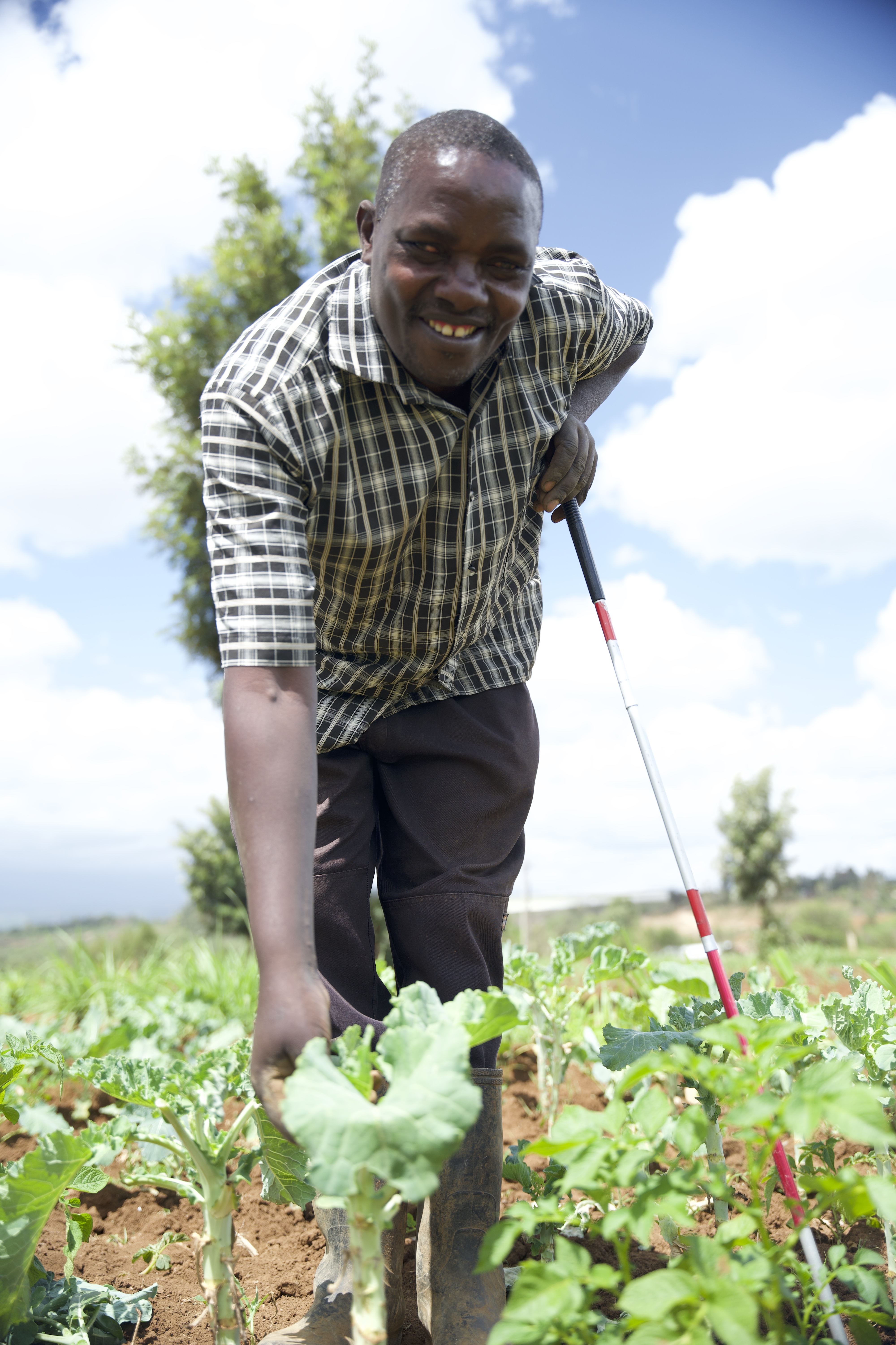 Elijah smiles, wearing a checked shirt. He is picking some vegetables from the ground, and holds onto a cane.