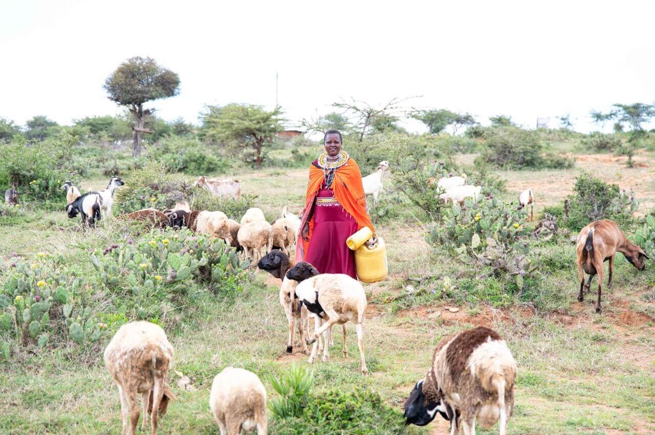 Kushuke Legei, a leader in the Organisation of People with Disabilities and successful microentrepreneur, pictured with her livestock.